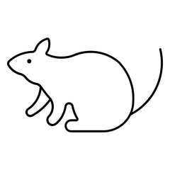 shrew