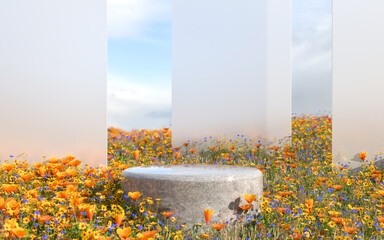 Abstract natural field scene with podium for product display and frosted glass background. 3d rendering