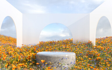 Abstract natural field scene with podium for product display and frosted glass background. 3d...