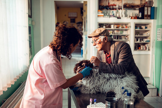 Senior caucassian man bringing his dog to a veterinarian