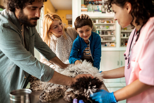Happy young caucasian family bringing their dog to a veterinarian