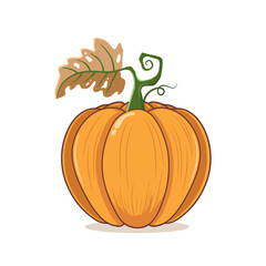 Orange pumpkin vector illustration. Autumn Halloween pumpkin, vegetable graphic icon or print, isolated on white background.