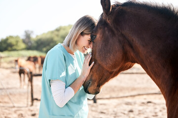 Vet, doctor and woman with care for horse for medical examination, research and health check....