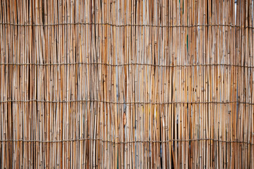 texture of bamboo