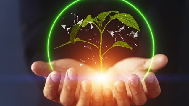 Agricultural technologies for growing plants and scientific research in the field of biology and chemistry of nature. Living green leaf with scientific data . Organic digital background