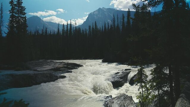 Natural landscape view of a river in Yoho National Park, Alberta, Canada with huge mountains in the background and a clear bule sky and rockie moutain range in summer daytime 