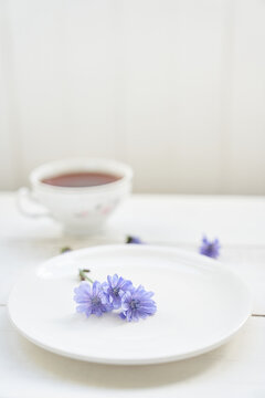 Cichorium flowers in a saucer, on a light background. Flowers of ordinary chicory or cichorium dioecious. With space to copy. High quality photo