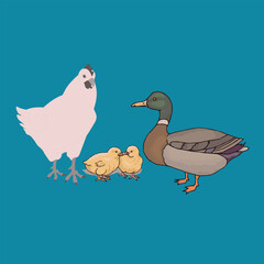 duck and ducklings, vector art, animal 