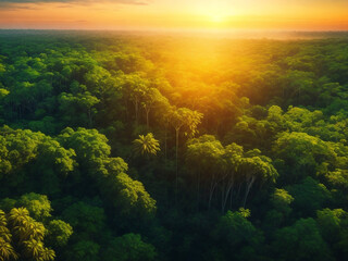Fototapeta na wymiar sunrise in the forest, ai generative