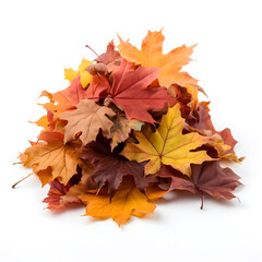 pile of autumn leaves isolated on white