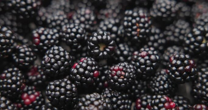 Healthy Organic Fresh Juicy blackberry Fruit Berrie Macro Background