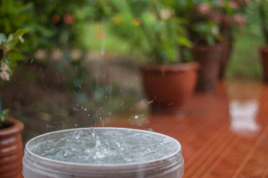 Rain is falling in a bucket full of water.Rainwater harvesting.Rainy season is coming.