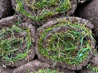 Details view of green rolled grass lawn stacks. Landscape design and gardening