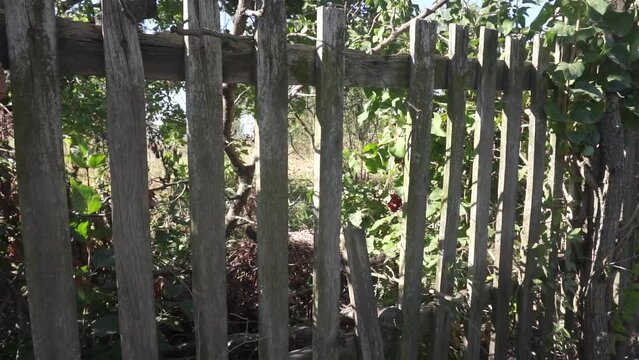 Wooden fence in village