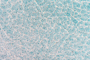 Reflections from the bottom of a pool