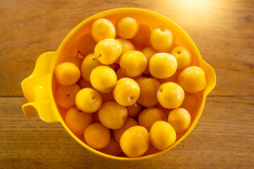 Plastic jug with ripe orange cherry plums on a wooden table, top view