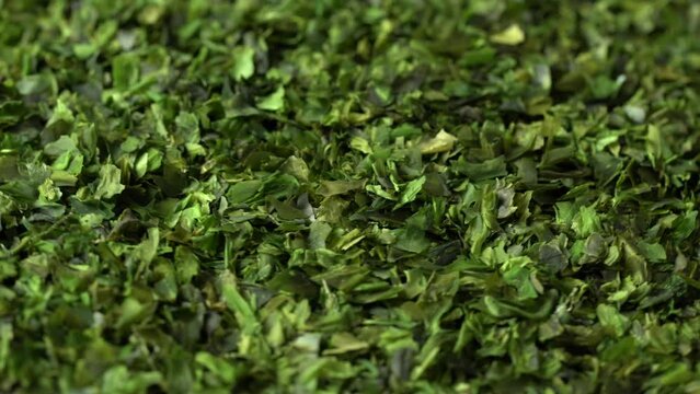close up green nori seaweed kelp alga powder flake circle around. green nori seaweed kelp alga powder flake circle around background. green nori seaweed kelp alga powder flake