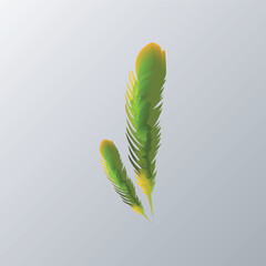 feathers Logo Template