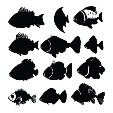 Fish Silhouette Vector. Fish vector Illustration. Fish artwork.