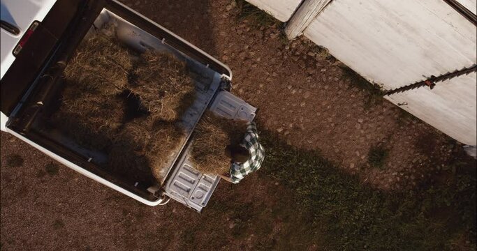 OVERHEAD Top view of Caucasian male farmer loading hay bays into the pickup bed