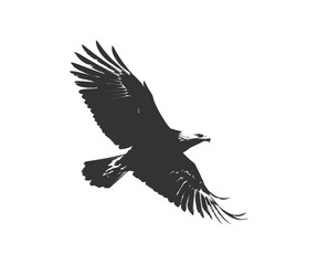Bald eagle silhouette isolated. Vector illustration design.