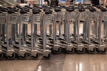 rows of carts