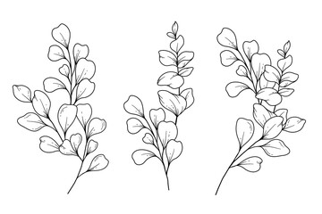 Eucalyptus Greenery Line Art, Fine Line Leaves Hand Drawn Illustration. Botanical Coloring Page. Outline Leaves Isolated on White © Xenia