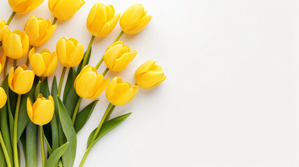 Spring floral composition with yellow tulips on white