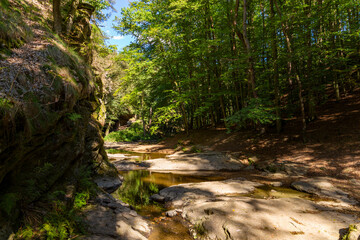 Nature reserve Zidova strouha with river Luznice near city Bechyne. Czechia.
