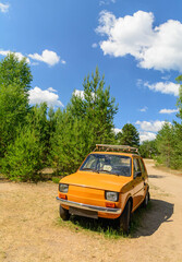 An old Italian car standing alone in the forest on the grass. Ideal condition. Summer and vacation trip.