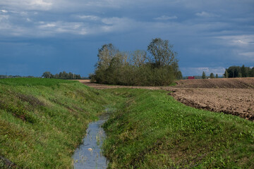 Small stream with green grass and blue sky in the springtime. © Neils