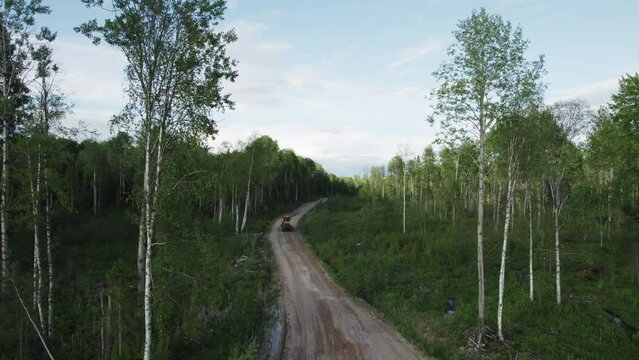Motor Grader Constructing and Leveling Forest Road