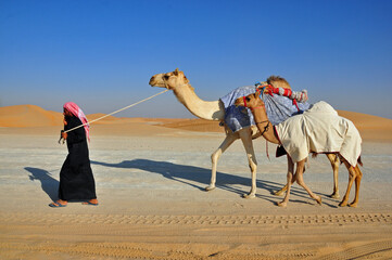 Man leading camels in the desert wih blue sky