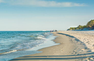 Forest beaches of the Baltic Sea, with sandy entrance, panoramic image. - 652193192
