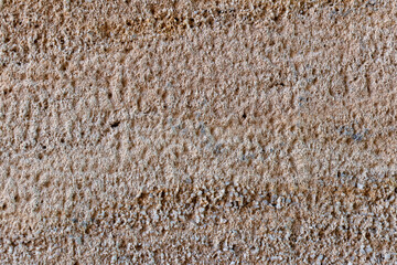 Detail of the partially weathered sandstone area