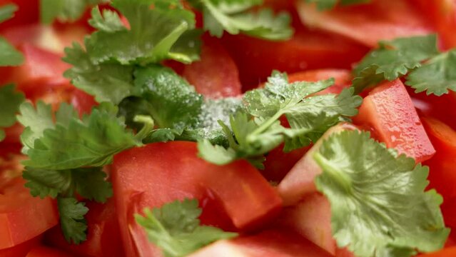 Sprinkling salt crystals on a vegetable salad with ripe red tomatoes and fresh green cilantro leaf close up. Rotation