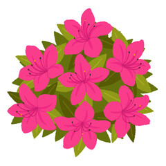 ツツジのイラスト
