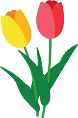 チューリップのイラスト