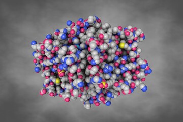 Human quinone reductase 2 (NQO2) in complex with pacritinib. Space-filling molecular model. Rendering based on protein data bank entry 5lbz. Scientific background. 3d illustration