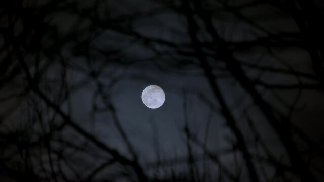 Dark clouds past shining full moon at night with spooky tree branches