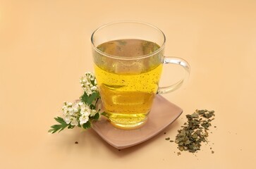 Hawthorn infusion used in natural medicine to treat cardiovascular problems, hypertension