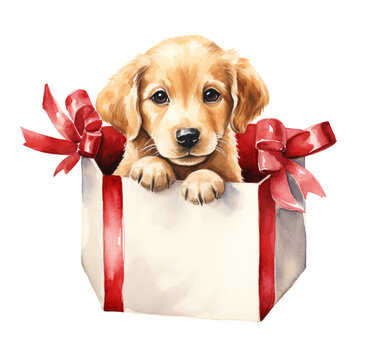 Watercolor illustration of a cute puppy in a box. Generative AI, png image.