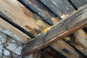 Floors of the old leaking roof.