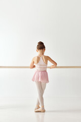 Rear view portrait of small adorable ballerina dancer girl in rose tutu ballet dress on pointe shoes classic variation. Education lessons in dance school © Lustre Art Group 