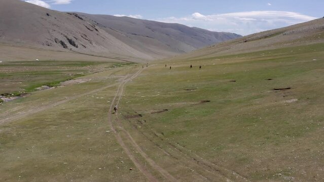 Mongolian horseriding, high wide drone overview, mongolia horses highland valley aerial shot. mongolian horseriding establishment shot.