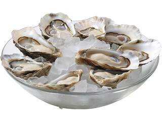Fresh Raw Oysters, Transparent Elegance