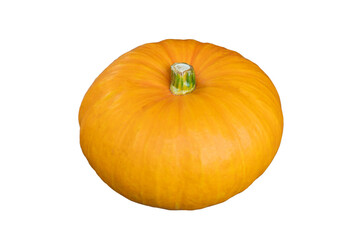 Pumpkin isolated on white background. Single fresh orange pumpkin isolated on white background