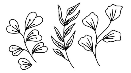 Floral branch and minimalist flowers for logo or tattoo. Hand drawn line wedding herb, elegant leaves for invitation save the date card. Botanical rustic trendy