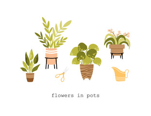 Potted flowers set vector illustration