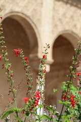 Alhambra, Grenade, Espagne